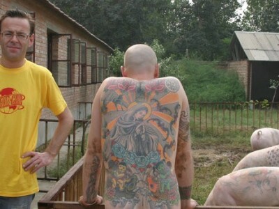 Tetovirane svinje Tetovirane svinje