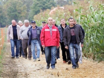 KWS kukuruzni kamp 2015