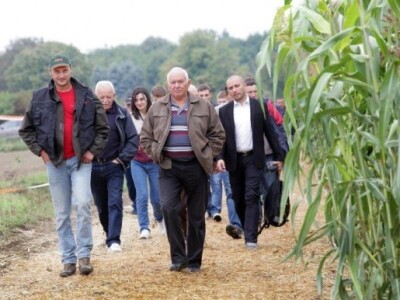 KWS kukuruzni kamp 2015