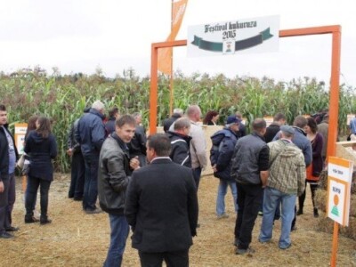 KWS kukuruzni kamp 2015