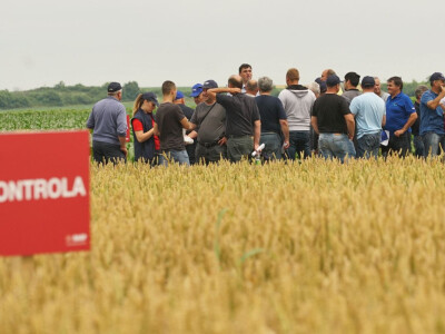 BASF Srbija Dan polja u Pančevu