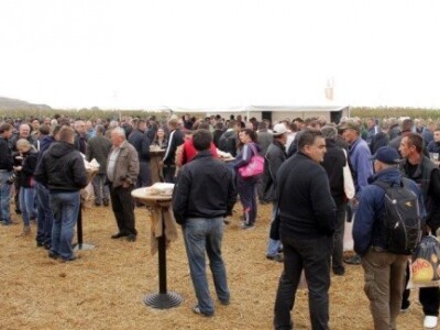 KWS kukuruzni kamp 2015