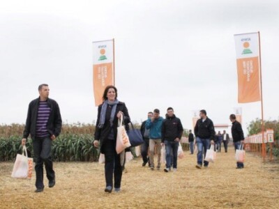 KWS kukuruzni kamp 2015