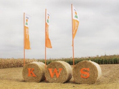 KWS kukuruzni kamp 2015