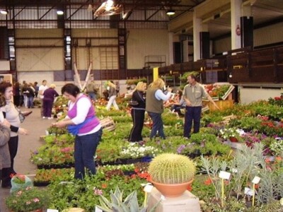 Sajam cvijeća u Poreču