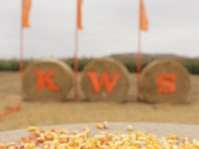 KWS kukuruzni kamp 2015