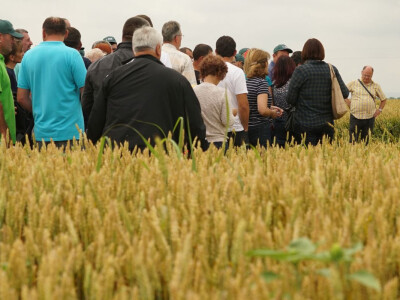BASF Srbija Dan polja u Pančevu