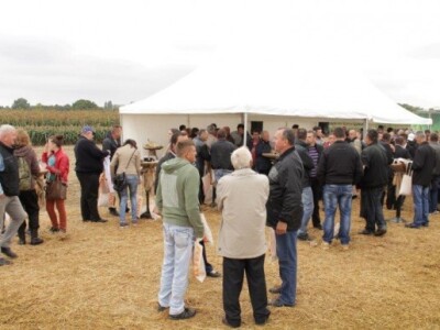 KWS kukuruzni kamp 2015