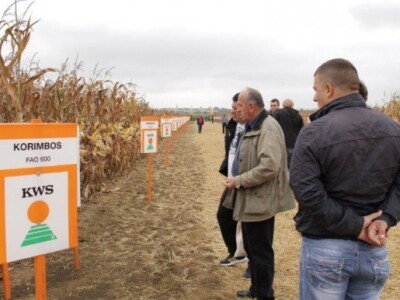 KWS kukuruzni kamp 2015