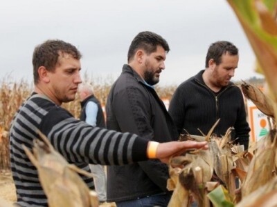 KWS kukuruzni kamp 2015