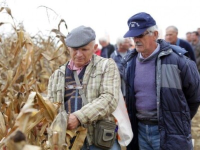 KWS kukuruzni kamp 2015