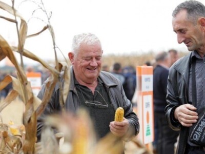 KWS kukuruzni kamp 2015