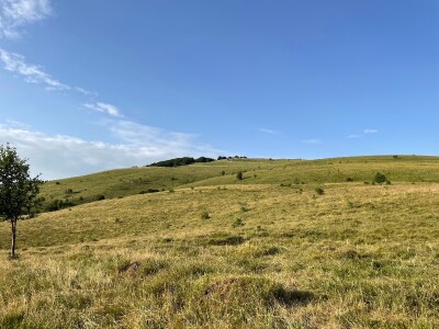 Tešija … ne objaviti još