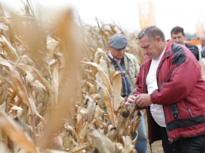 KWS kukuruzni kamp 2015