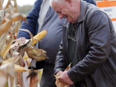 KWS kukuruzni kamp 2015