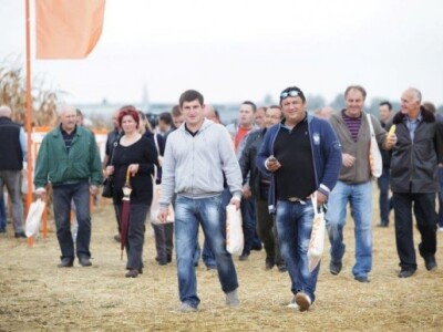 KWS kukuruzni kamp 2015