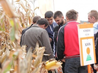 KWS kukuruzni kamp 2015