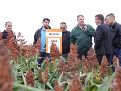 KWS kukuruzni kamp 2015