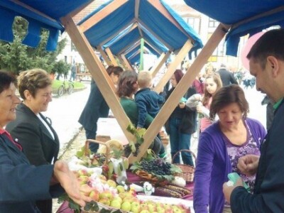 Voćarstvu u Podravini i Prigorju treba vjetar u leđa