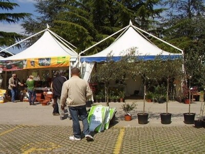 Sajam cvijeća u Poreču