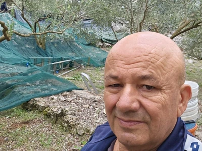 BERBA MASLINA U HERCEGOVINI