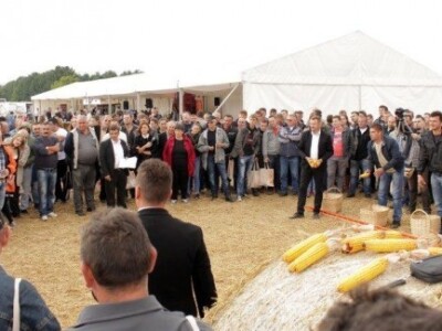 KWS kukuruzni kamp 2015