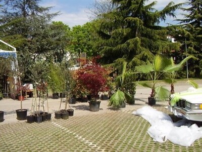 Sajam cvijeća u Poreču