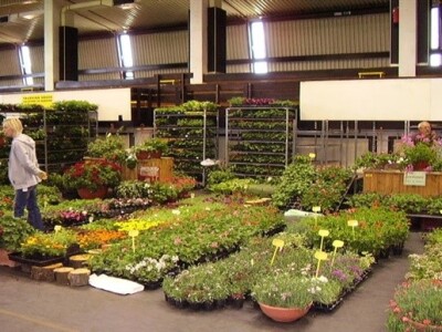 Sajam cvijeća u Poreču