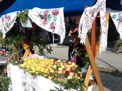 Voćarstvu u Podravini i Prigorju treba vjetar u leđa