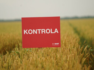 BASF Srbija Dan polja u Pančevu