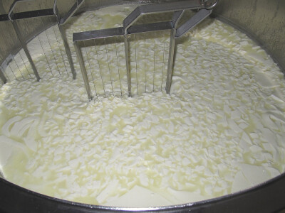 Sirevi s plemenitom plijesni su budućnost