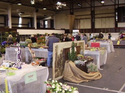 Sajam cvijeća u Poreču