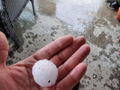 foto: Danijela Plavšić