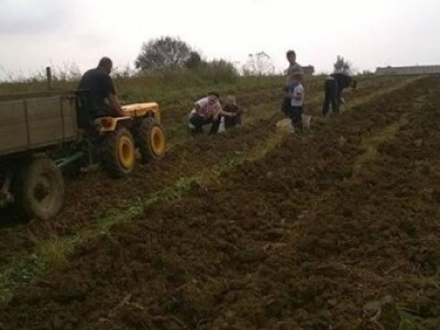 OPG Rosman iz Pakraca OPG Rosman iz Pakraca