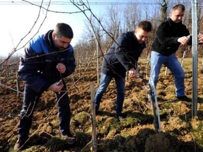Profesori i studenti požeškog Veleučilišta s gostima proslavili Vincelovo