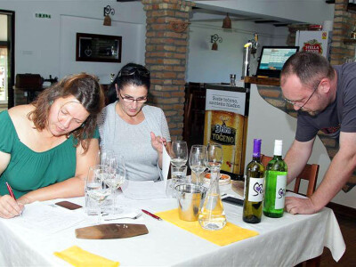 Koja je najbolja voda za špricer?