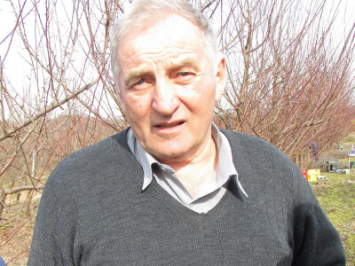 Dragoja Dojčinović Dragoja Dojčinović