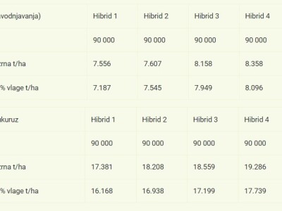 Pokusi navodnjavanja kukuruza Rivulis sistemima "kap po kap"