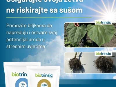 Indigo Biotrinsic i30 FP - biološki tretman sjemena