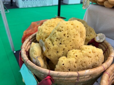 1. dan CroAGRO sajma