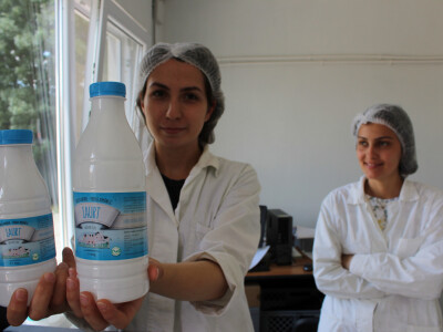 Domaći jogurt se može kupiti na farmi