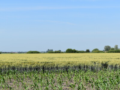 1. Festival agronomije - Agrifest 2024. u Ivankovu