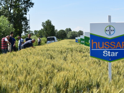 1. Festival agronomije - Agrifest 2024. u Ivankovu