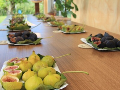 1. rovinjski Dani smokava