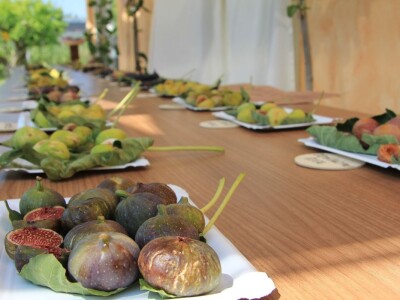 1. rovinjski Dani smokava