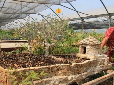 1. rovinjski Dani smokava