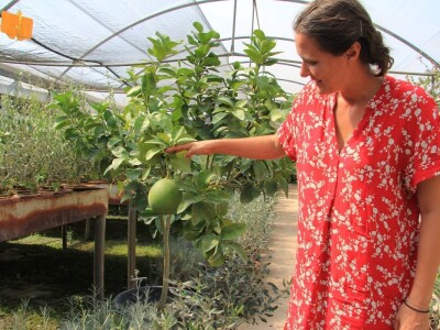 1. rovinjski Dani smokava