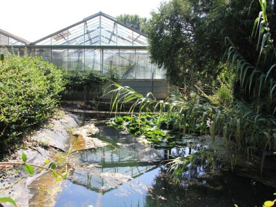 1. rovinjski Dani smokava