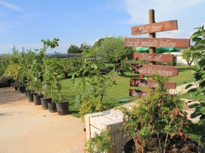 1. rovinjski Dani smokava