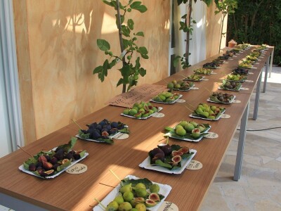 1. rovinjski Dani smokava